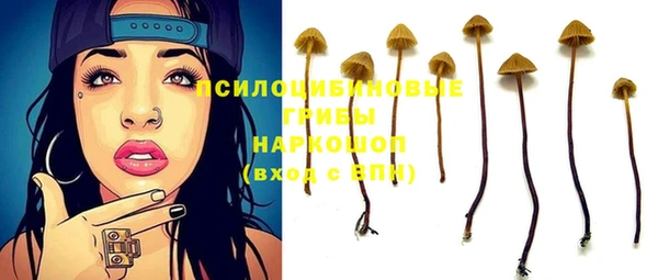 мяу мяу мука Санкт-Петербург