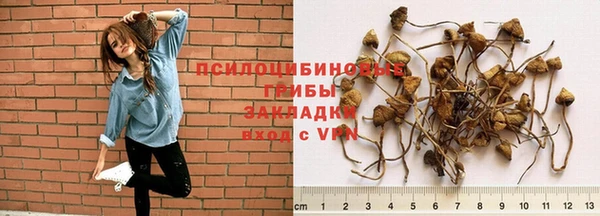 мяу мяу мука Санкт-Петербург