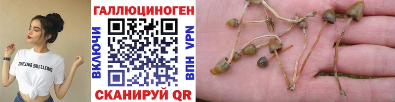Галлюциногенные грибы MAGIC MUSHROOMS  Купить закладки  Беслан 
